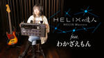 Line 6 / Helix Floor