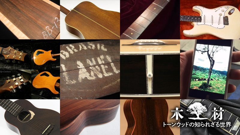 神木”ブラジリアン・ローズウッドな楽器をデジマートで探すの巻｜連載