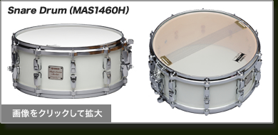 Snare DrumiMAS1460Hj:Maple Custom Absolute
