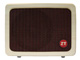 ZT AMP Lunchbox Acoustic